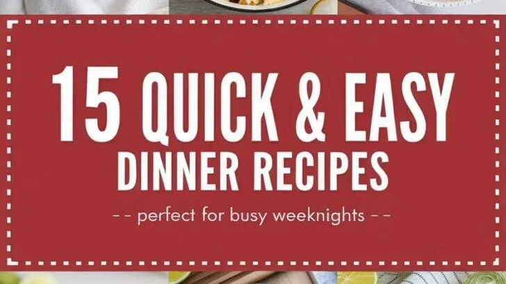 15 QUICK & EASY DINNER RECIPES
